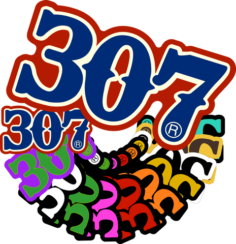307 #'s Decals