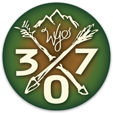 307 Wyo Arrows Decal