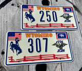 307's "Wyomerican" Limited Edition America's 250th Wyoming Souvenir License Plate (Sold Out… )