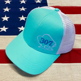 307 Buffalo Mesh Back Hats