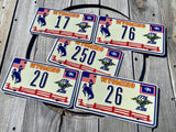 307's "Wyomerican" Limited Edition America's 250th Wyoming Souvenir License Plate (Sold Out… )