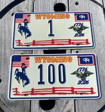 1and100WyomingSouvenirLicensePlate