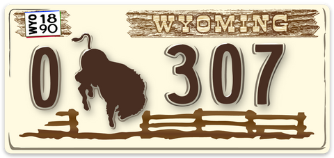 307 "78-82" Wyo License Plate Decal