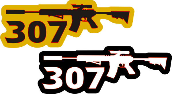 307 AR Decals