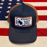 307 "1983 Series" License Plate Hats