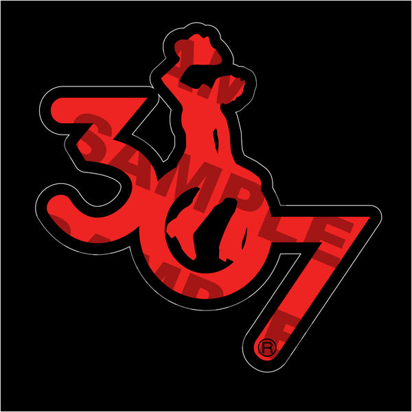 307 Big Lone Rider Decal